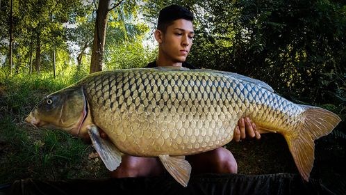 Lacul Varlaam 2020 - 1194279183580690686965987413756303650377522n.jpg